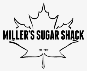 Half Pint Pure Ohio Maple Syrup - Maple Leaf Outline Drawing