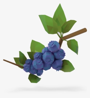 lowbush blueberries - blueberry plants transparent