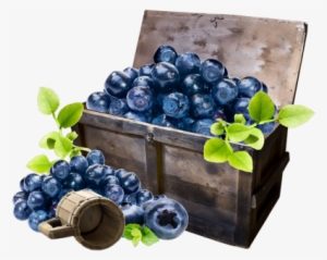 Blueberries - Черника Картинки Для Декупажа