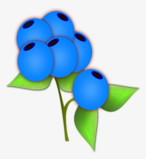 How To Set Use Blueberries Svg Vector