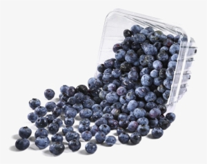 blueberries png image background - blueberries 1 pt