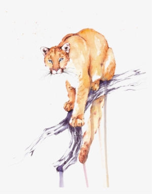 Lion Water Painting Png