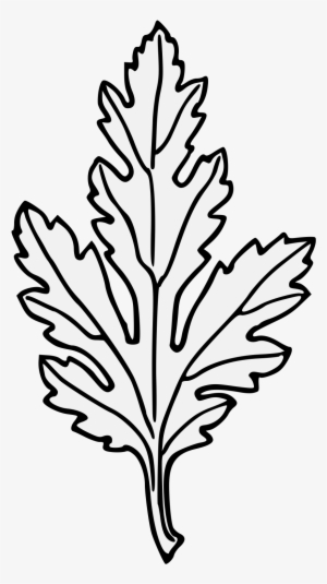 Chrysanthemum Leaf - Embroidery