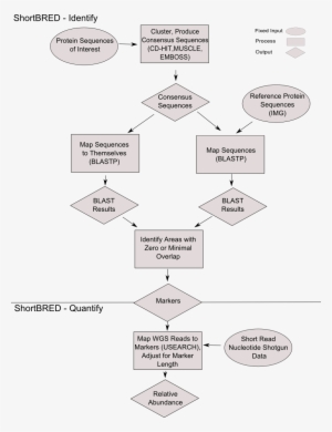 Overview - Diagram