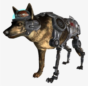 Fnvrex, Cyberdog - Fallout Wiki - Fallout Nv Rex Fan Art