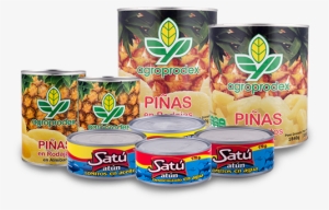 Canned Food - Agroprodex