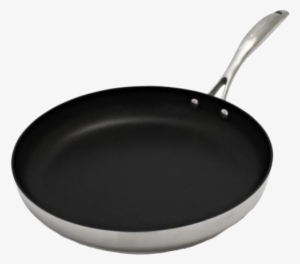 If You're Willing To Risk Low Level Acronym Exposure, - Scanpan Ctq Nonstick Skillet 69002804 , 11"