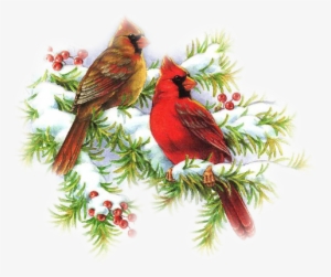 Christmas Cardinals Clip Art - Clip Art Cardinals At Christmas