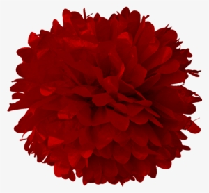 Red Velvet Tissue Pom Poms - Turquoise Blue 24 Inch Tissue Paper Flower Pom-pom