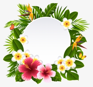 Tropical Frame Cliparts - Tropical Flower Frame Png