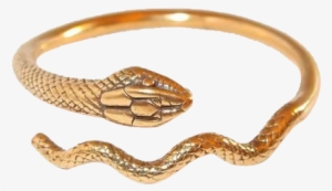 Mma Snake Bracelet Size Large With Details From King - Bracelet