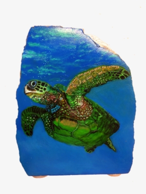 Sea Turtle $175 - Loggerhead Sea Turtle