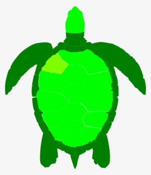 Sea Turtle Clipart - Green Sea Turtle Clipart