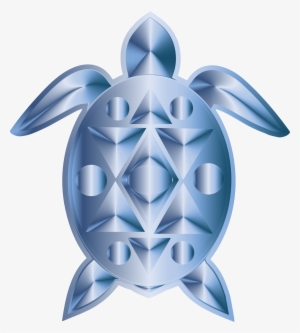 Big Image - Kemp's Ridley Sea Turtle