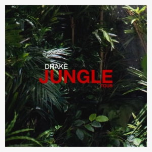 You Think You Can Do Somethin With The Jungle Art Maybe - Jungle Drake Album Cover