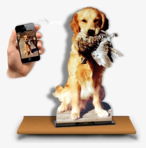 Hunting Dog Photo Cutout Trophy Photo Of Lasertrophy - Dog Catches Something