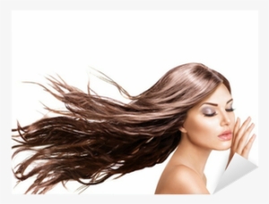 Fashion Model Girl Portrait With Blowing Hair - Hair Blowing Transparent