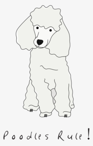 Poodle Art Poodle Drawing ORIGINAL Drawing Poodle Sketch  Etsy
