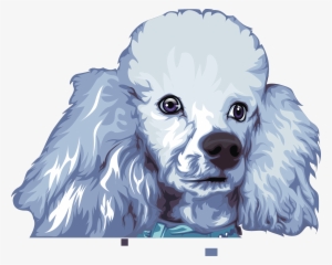 Cartoonize Your Dog And Furry Pet With Free Source