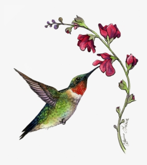 Summertime Hummingbird, Ink And Watercolor - Watercolor Painting