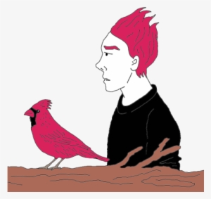 Cardinal - Pheasant