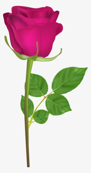 Clipart Library Stock With Pink Png Clip Art Image