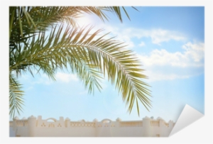 Beautiful Palm Branch On Blue Sky Background Sticker - Wall