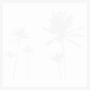 Palm Trees - Uber Decals Vinyl Wall Decal Sticker Swirly Beach Day