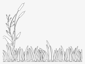Swamp Clipart Grass Field - Clipart Grass Black And White