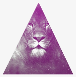 Related Wallpapers