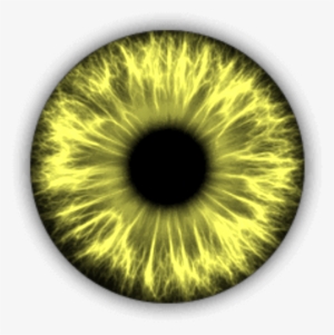 Brightyellow Eye Yellow Cat Eyes - Ophthalmic Assistant: A Text For Allied