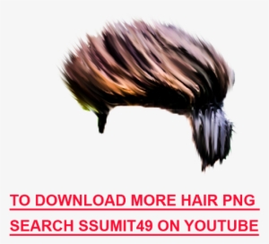 Cb Hair Pngs - Bird Transparent PNG - 900x1600 - Free Download on NicePNG