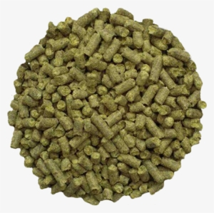 Brewing