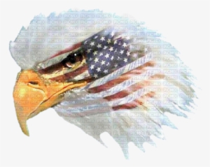 Eagle Head W Flag 02 B Png - Don't Ever Take Away My Freedom!