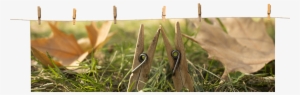 Instead Of Spending Money On Chip Bag Clips, Use Clothespins - Close-up