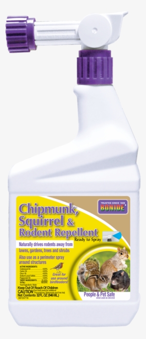 Chipmunk, Squirrel & Rodent Repellent - All Seasons Horticultural Oil Spray Ready To Spray