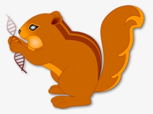 Svg, Hi-res Png - Squitten