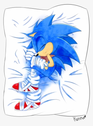 Sonic Body Pillow By Konkonna - Princes Rosalina Body Pillow