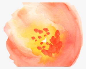 Peach Flower Clipart Flower Petal - Watercolor Clipart Transparent