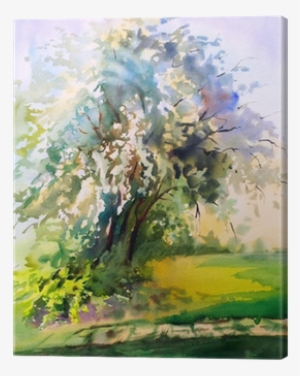 Watercolor Painting Of The Blooming Spring Tree Canvas - Watercolor Painting