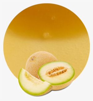 Honeydew Melon Juice Concentrate - Product