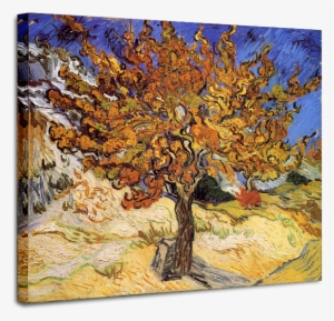 Mulberry-tree - Vincent Van Gogh Mulberry Tree Prints