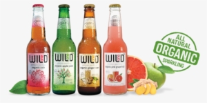 Wild One Organic Soft Drinks - Organic Drinks