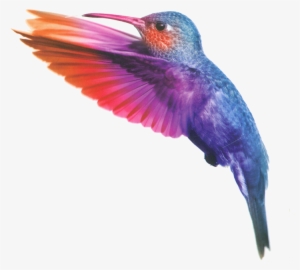 Koliber11 - Cuda. Czym Są, Czemu Się Zdarzają I Jak Mogą Zmienić