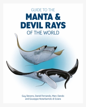 Mt Website Shop Guide To Manta & Devil Ray Thumbnail - Guide Manta And Devil Rays Of The World