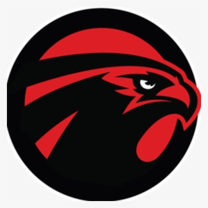 Atlanta Falcons Facts - Sb Nation Falcoholic