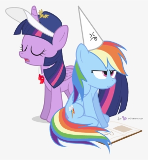 Com Rainbow Dash Twilight Sparkle Pony Mammal Cartoon - My Little Pony: Friendship Is Magic
