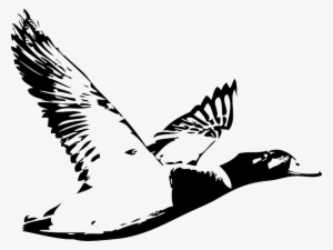 Duck Hunting Drawing At Getdrawings - Fowl Hunting Logo Designs