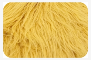 Gold Luxury Shag Faux Fur (limited Availability) - Limited Availability