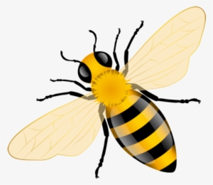 Bee Crafts, Ladybug Crafts, Buzz Bee, Bee Jewelry, - Bee Vector